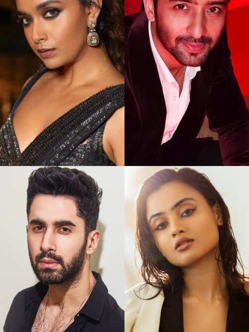10 actors who made Bollywood debut in 2024
