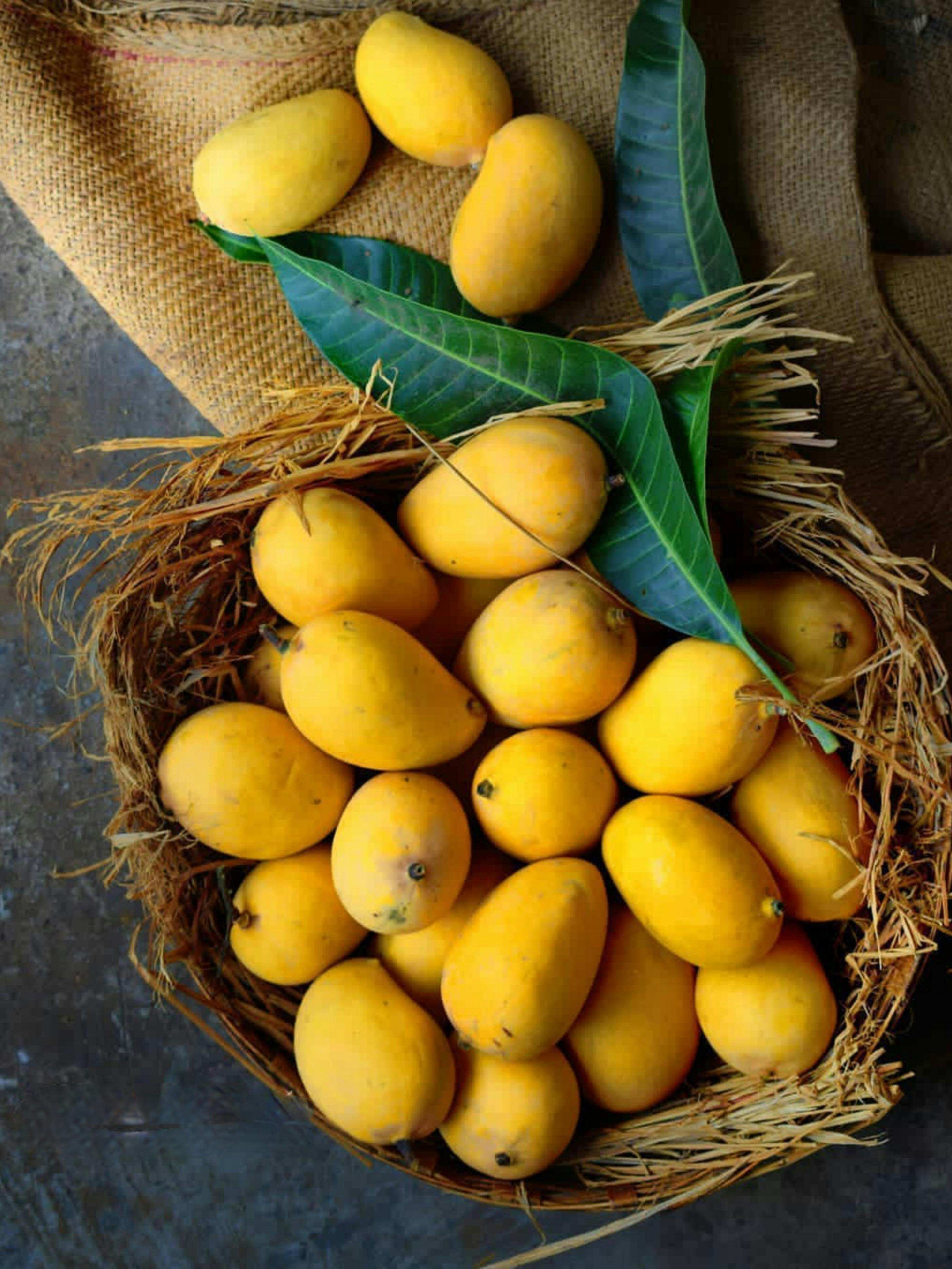 Does eating mangoes increase blood sugar levels?