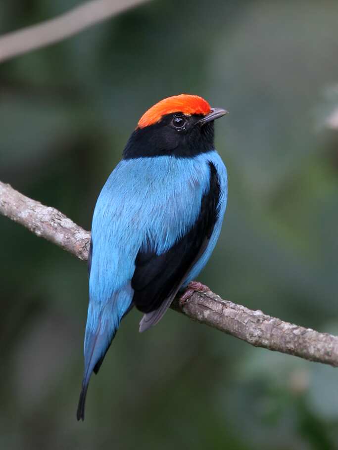 1720706814111_6825025127bef2d0