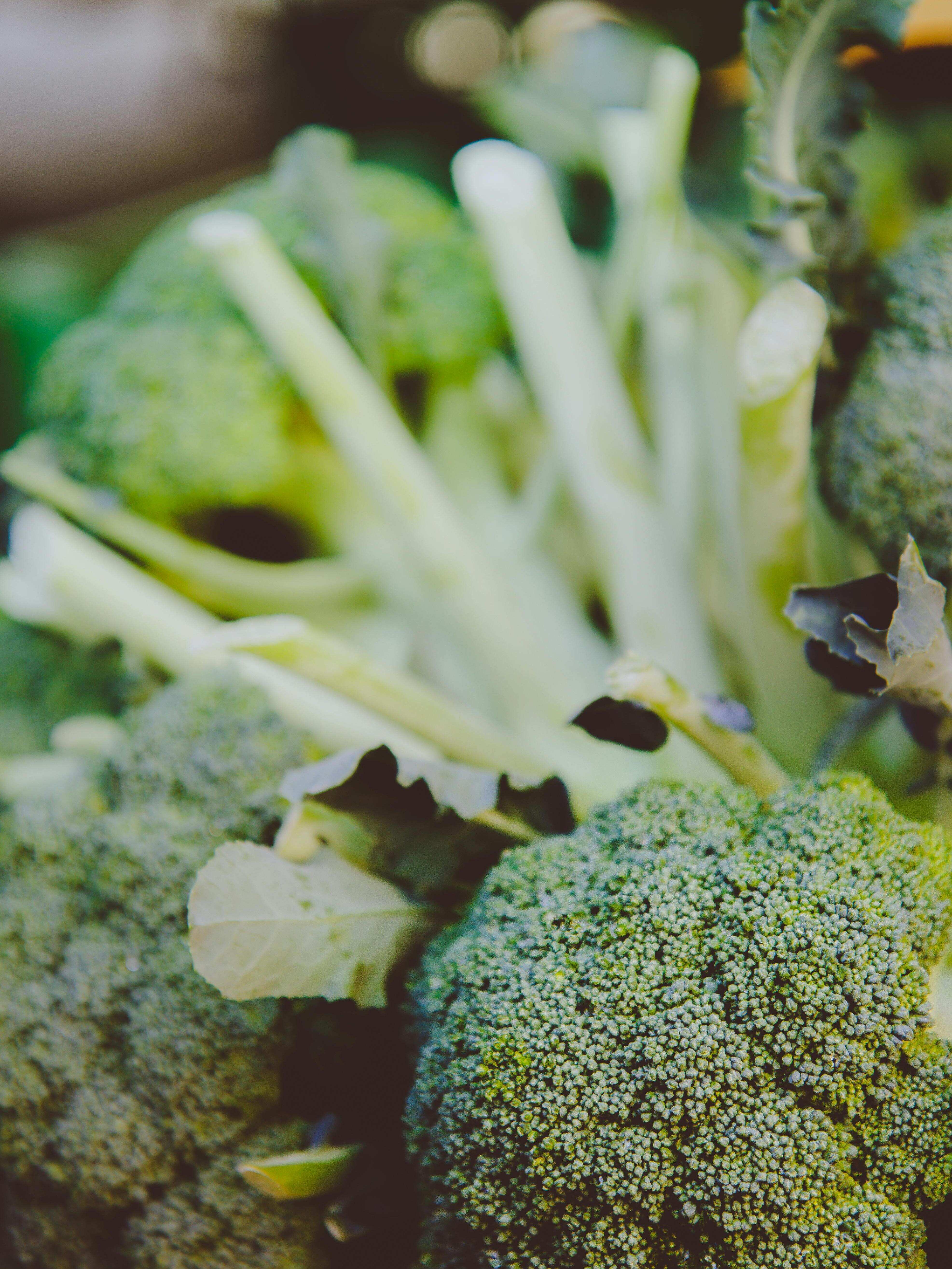 Eating Broccolo 10 health benefits of eating broccoli