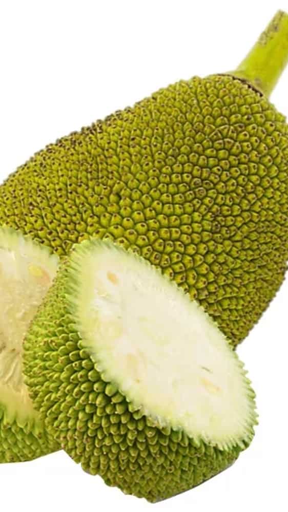 Benefits of eating jackfruit during pregnancy