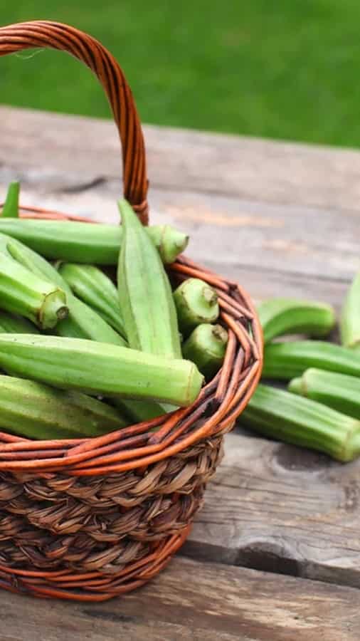 Benefits of lady finger for skin