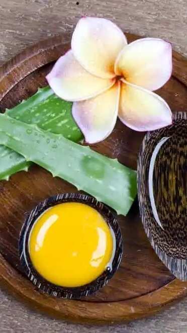 7 DIY aloe vera hair masks for all hair problems