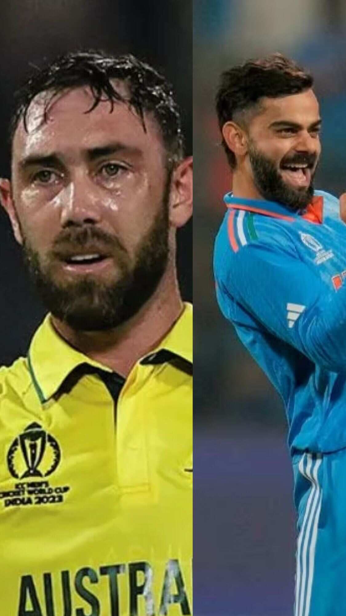 IND vs AUS World Cup winners who reached 2023 final