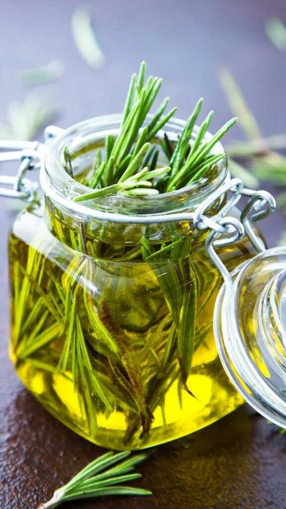 Benefits of rosemary oil for hairs