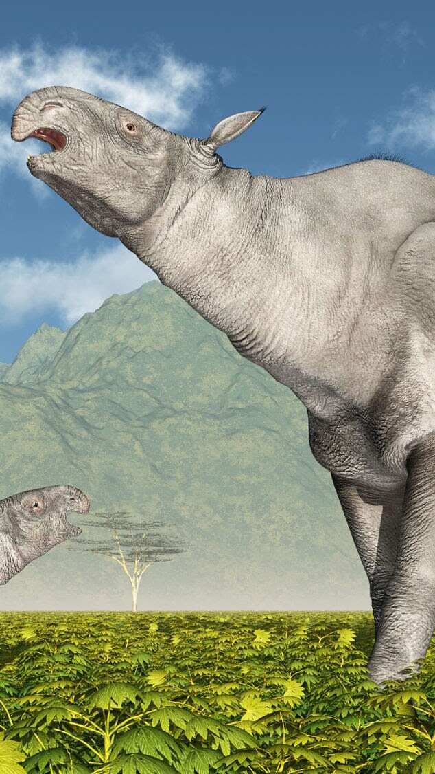 9 largest mammals