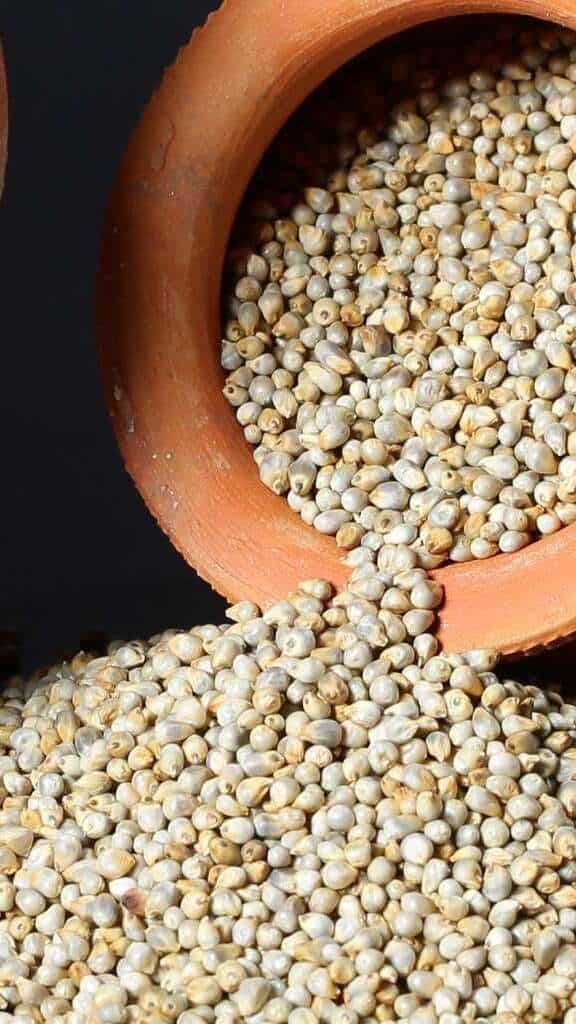 Diabetes tips 5 millets to control blood sugar levels