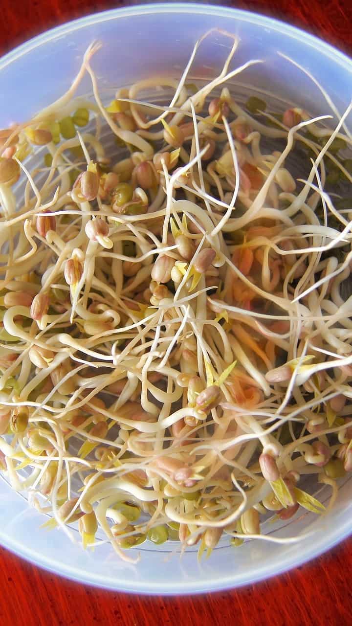 8 health benefits of eating sprouts