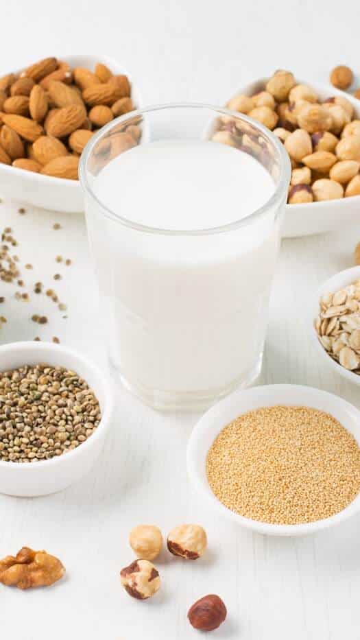 7 Plantbased vegan milk options