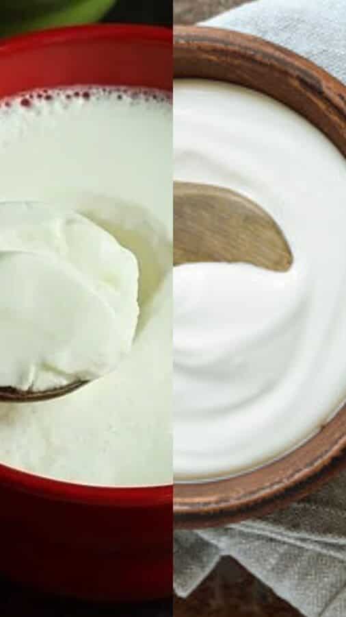 Curd vs Yogurt Which one is better for weight loss and why?