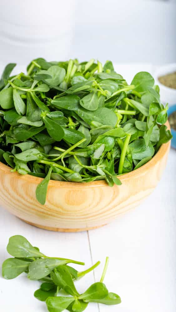 Health benefits of purslane (kulfa saag)