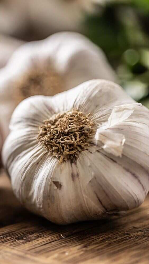 Health benefits of garlic in winter