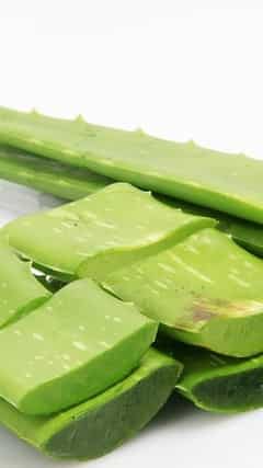 7 Benefits of Aloe Vera for diabetics