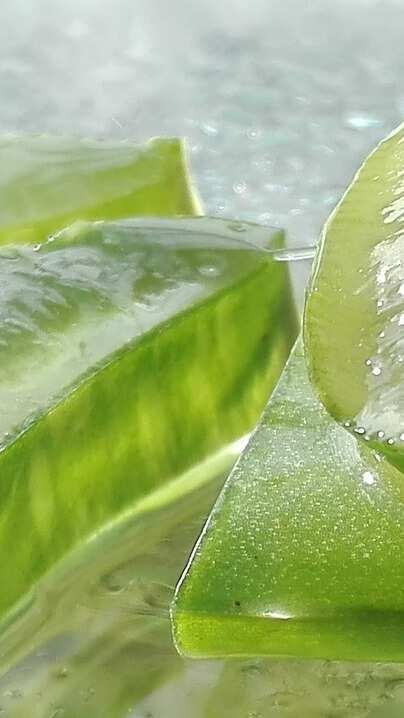 aloe vera king premium OKF Aloe Vera King Original main image 0