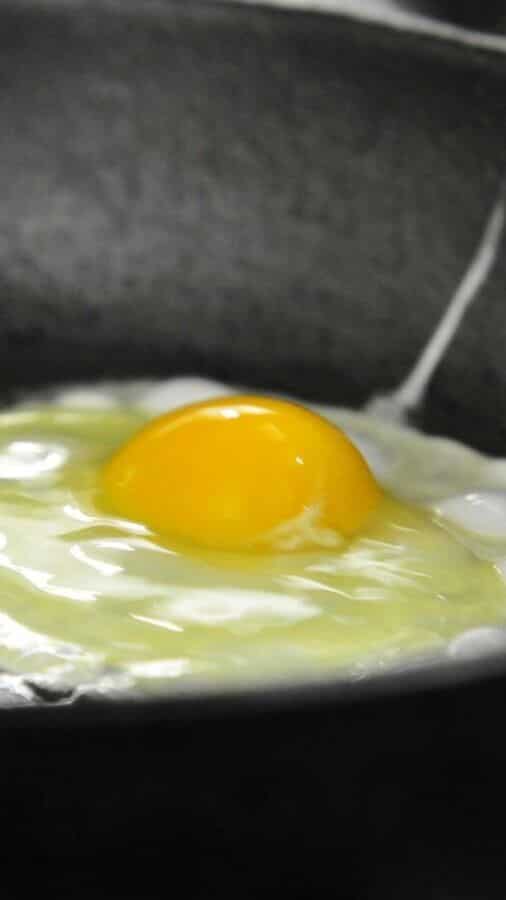 Highprotein substitutes for eggs during Shravan