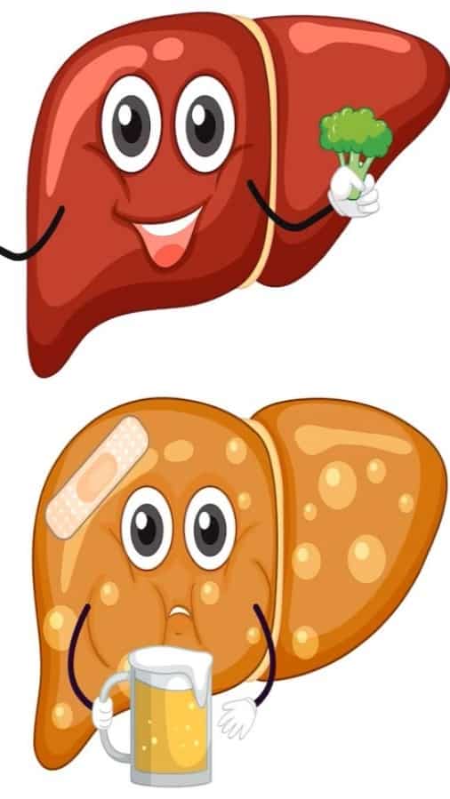 8 home remedies to reverse fatty liver