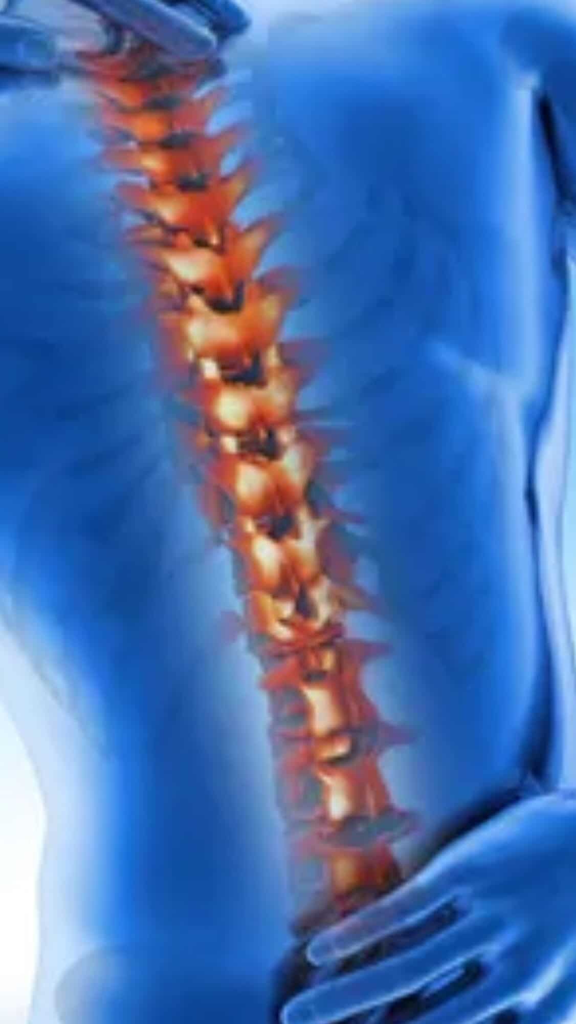 10 superfoods to relieve back pain