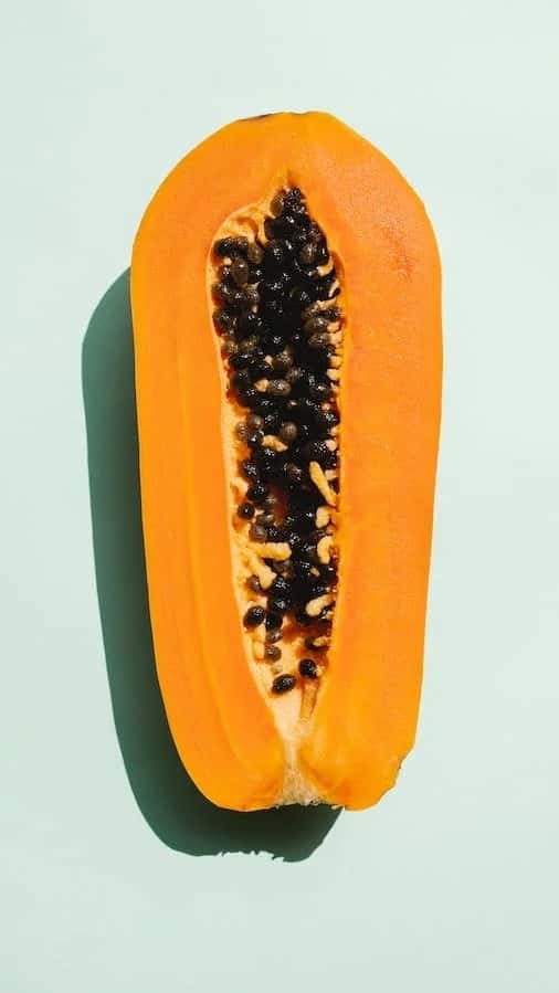 10 health benefits of papaya seeds for cholesterol
