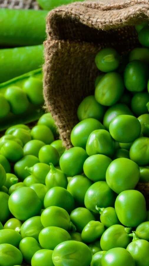 8 surprising health benefits of green peas