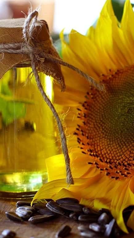 This Sunflower Oil Could be the Key to Better Health and Energy!
