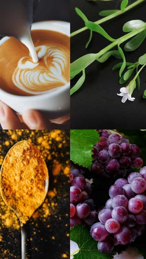 8 Natural Supplements To Boost Brain Function