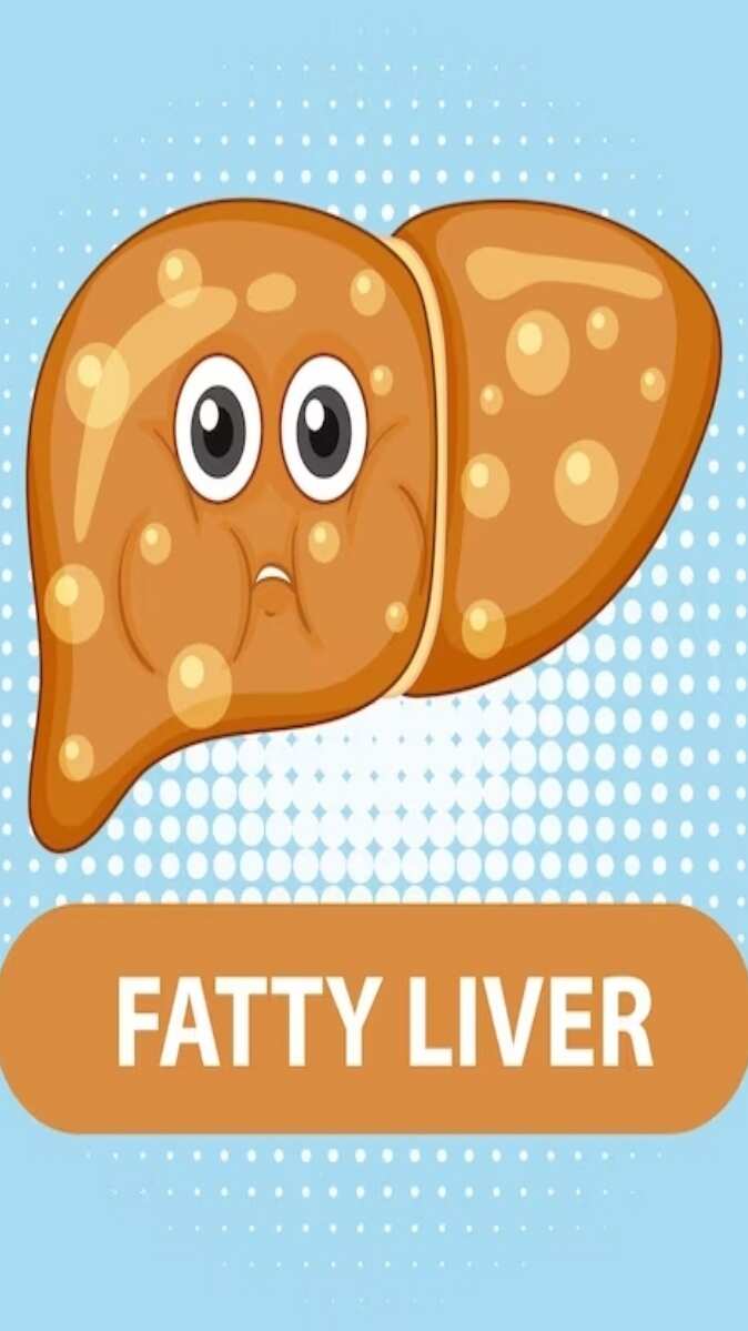 Fatty liver 8 fruits that can help detox liver