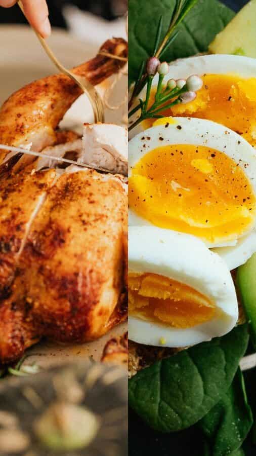 Eggs vs Chicken Which is better source of protein?