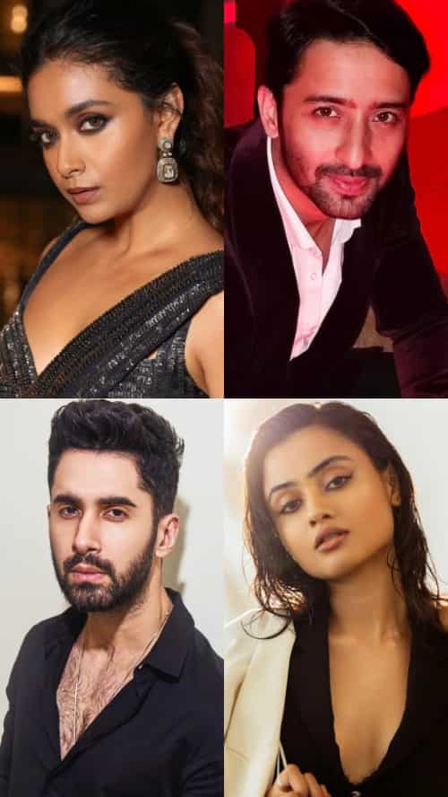 10 actors who made Bollywood debut in 2024