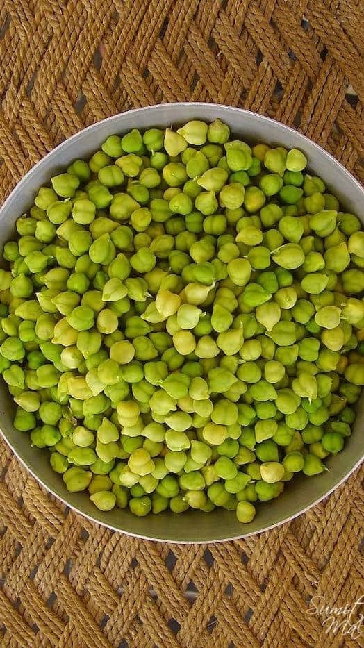 Weight loss Benefits of eating green chickpeas or hara chana