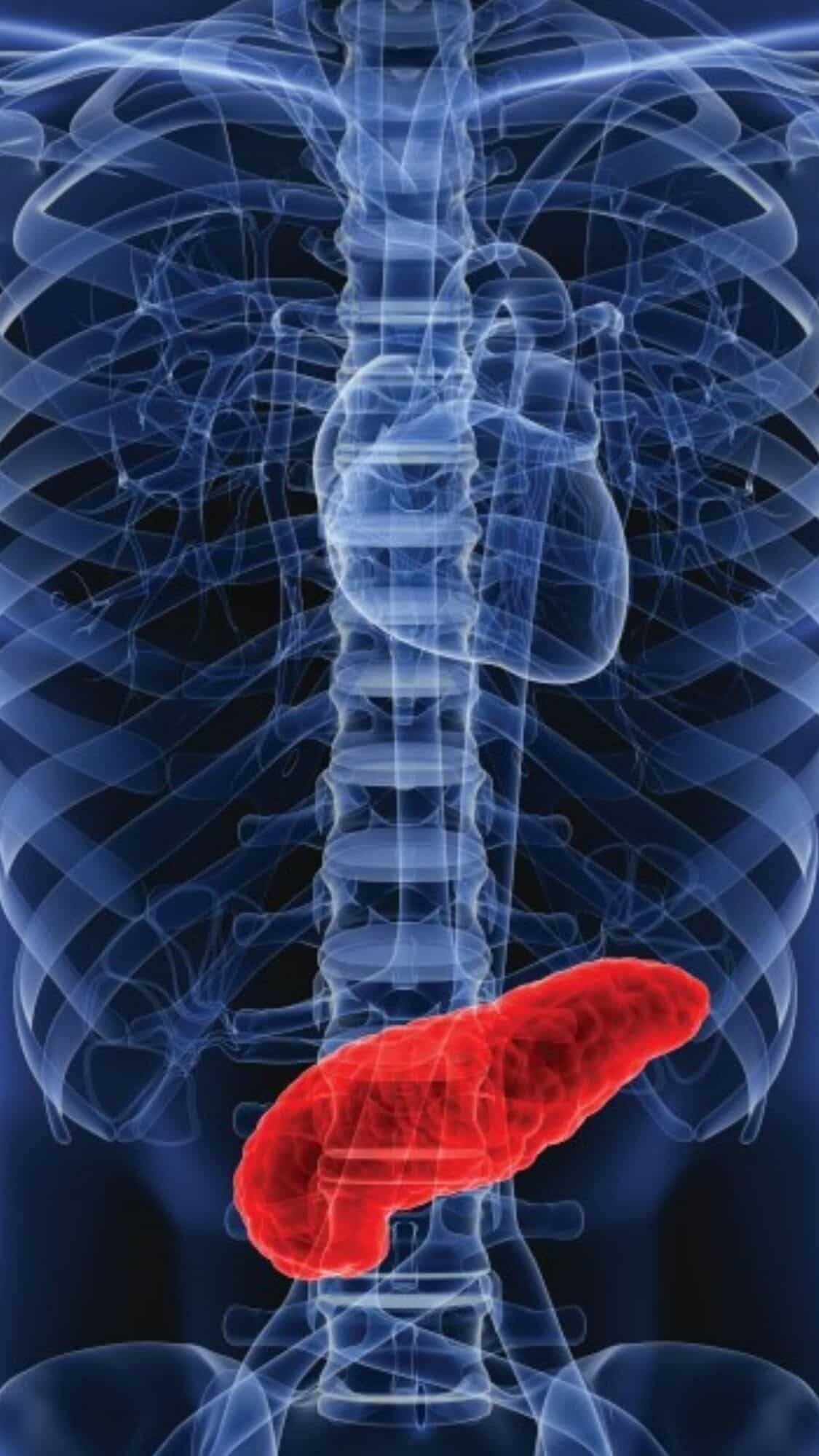 7 foods to keep your pancreas healthy