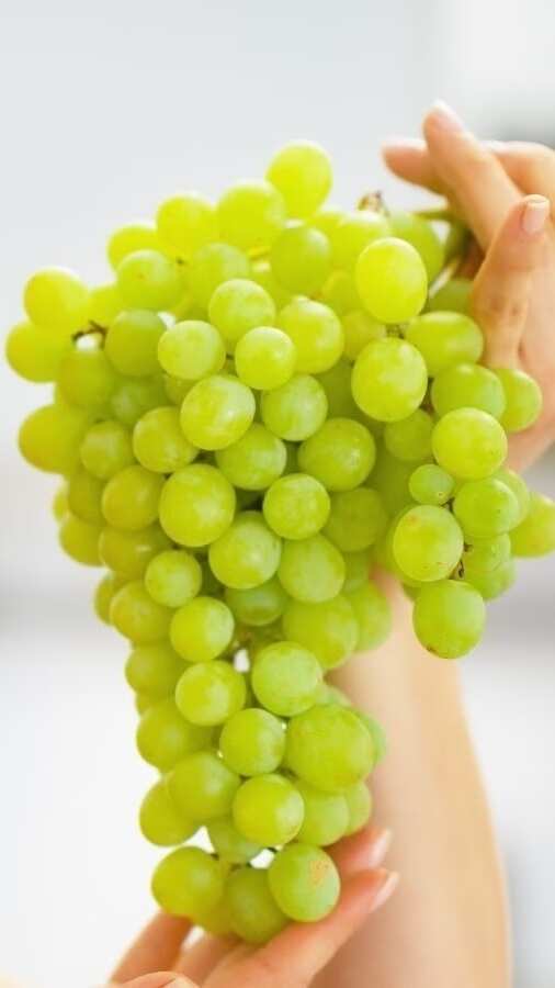 Benefits of consuming grapes