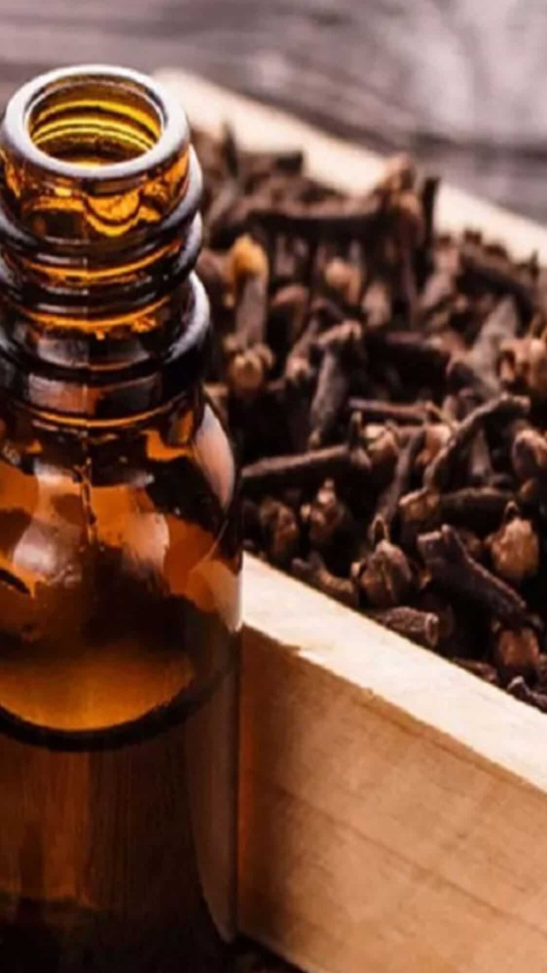 Benefits of clove oil to relieve tooth pain