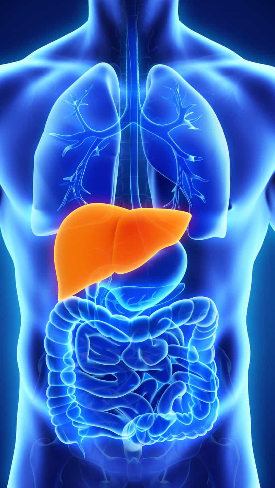Want a healthy liver? Ditch these 7 foods immediately.