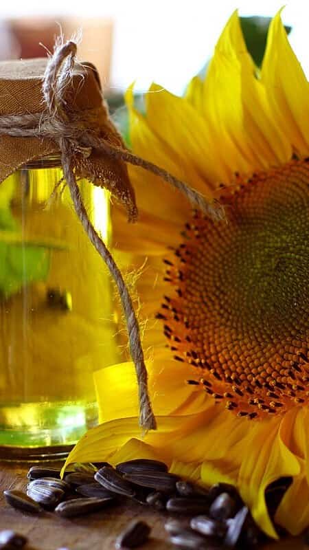 Sunflower Oil: Is it bad for your health? Science-backed health benefits and risks